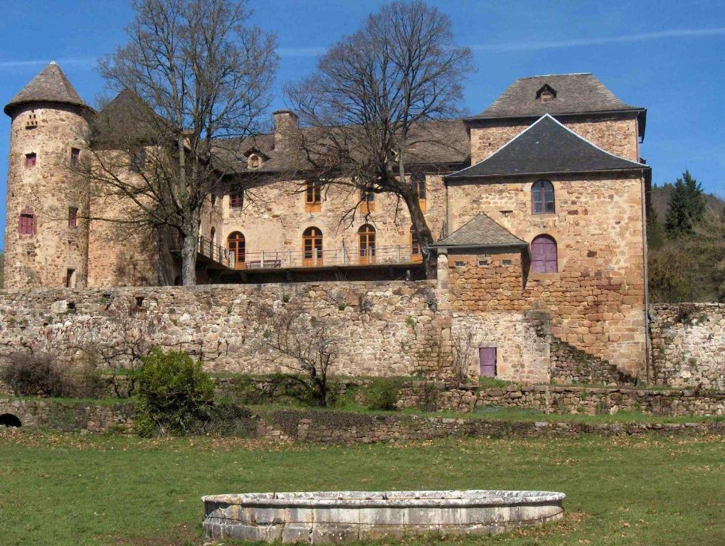 Chateau De Salelles Banassac Exterior foto