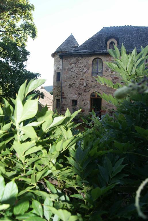 Chateau De Salelles Banassac Exterior foto