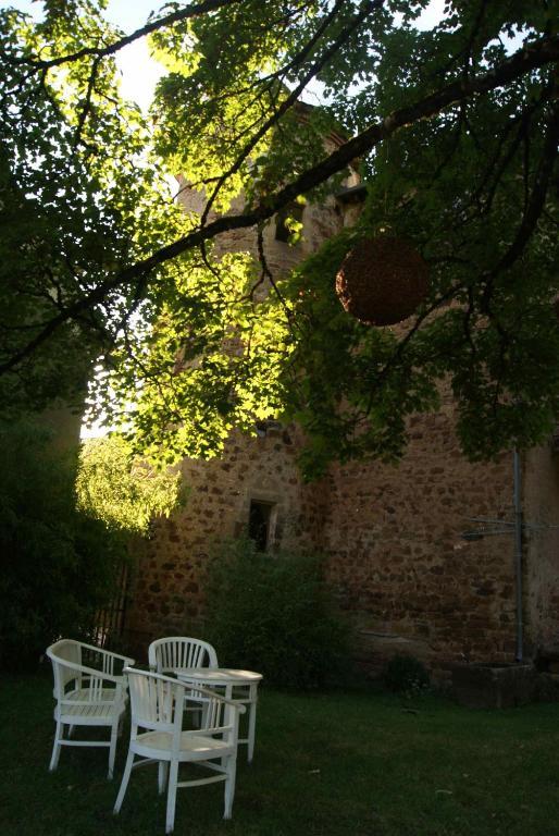 Chateau De Salelles Banassac Exterior foto